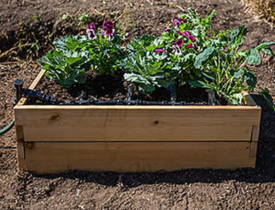 Burpee Gardens Raised Bed Systems