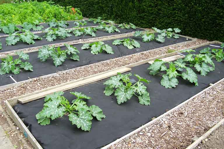 Which Garden Mat Is Best For Your Garden Tips On How To Choose