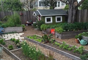 Raised Vegetable Garden Beds for Urban Gardening