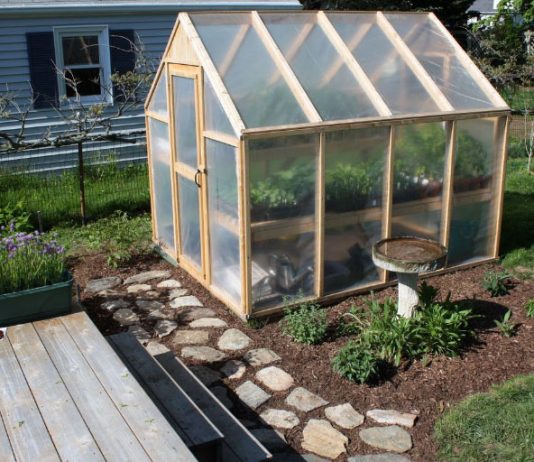 Mini Greenhouse