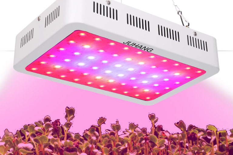 Things to Consider Before Purchasing Cheap Grow Lights