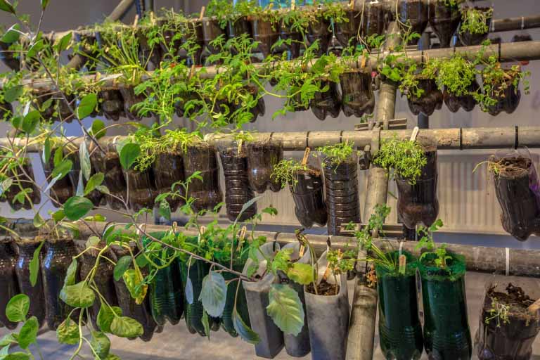 What You’ll Need to Grow a Vertical Vegetable Garden