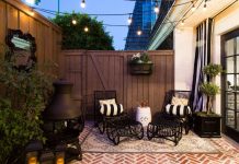gardening 101: a beautiful set up of plants on a patio garden