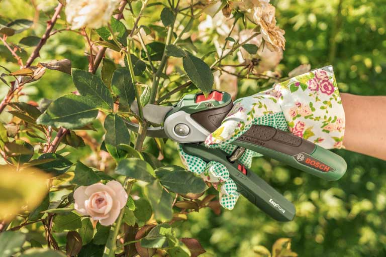 Why Do You Need Garden Scissors