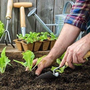 farmer planting with a seed starter kit