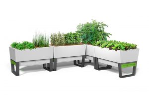 self-watering planters