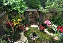 basic miniature garden
