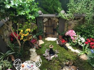 basic miniature garden