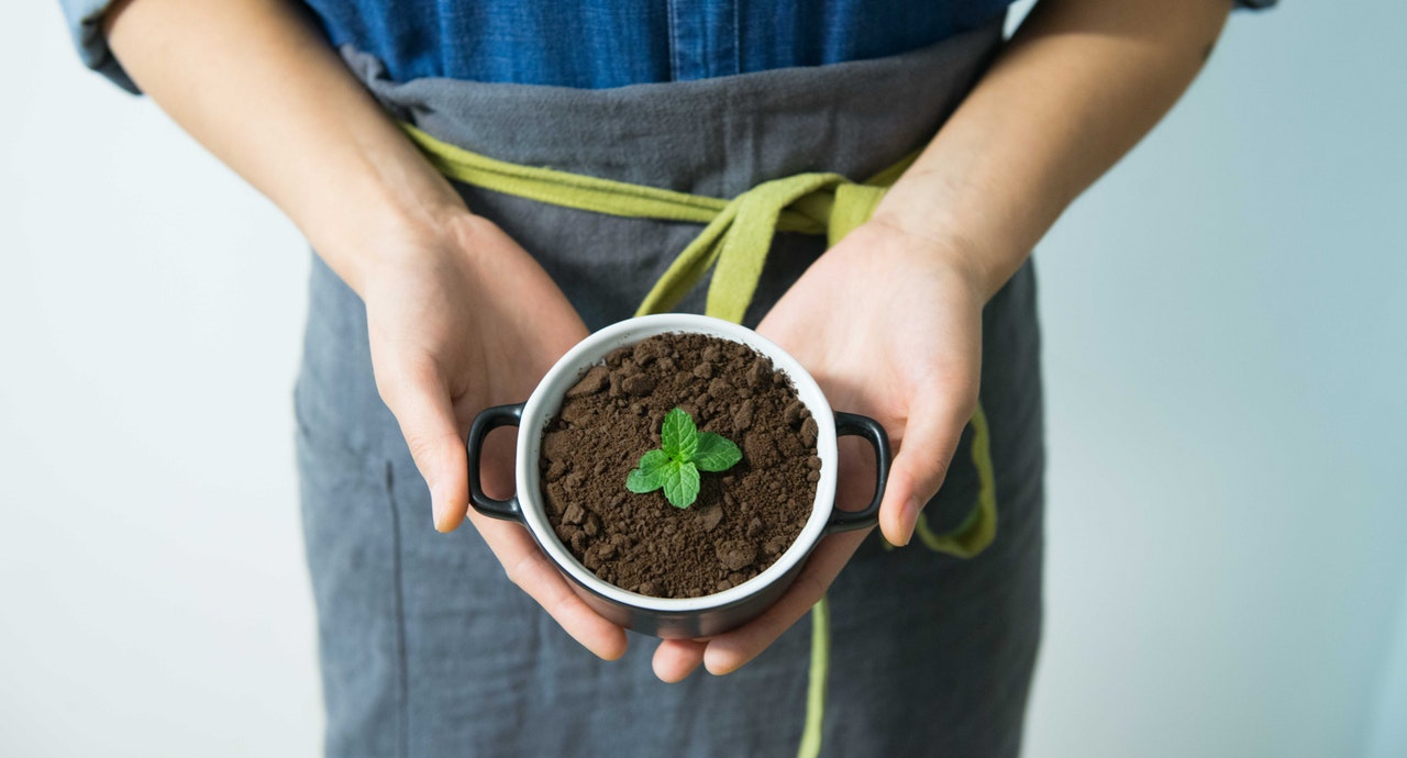 person holding cup of coffee grounds with plant in the middle