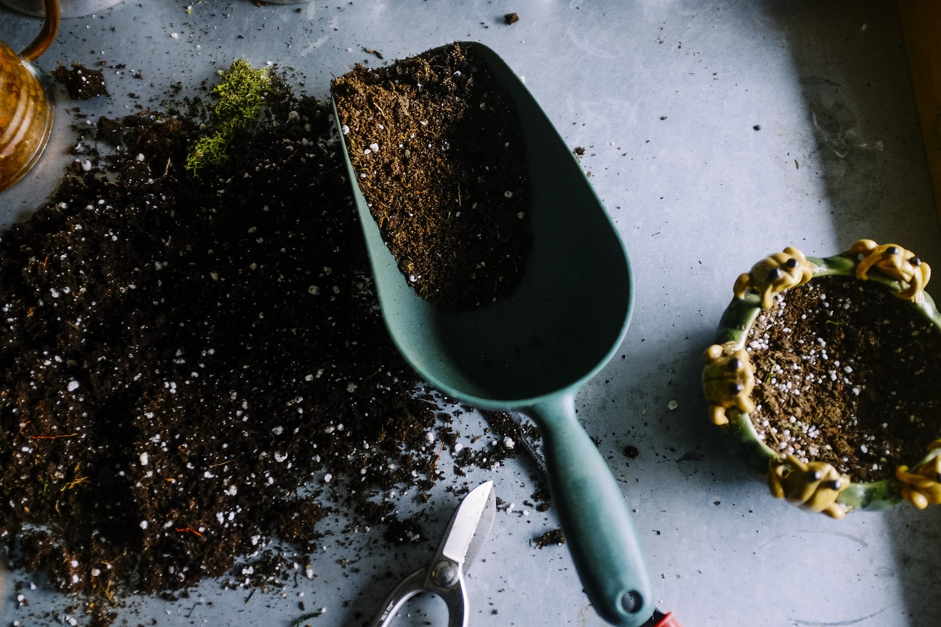 Potting soils and a gardening scoop